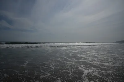 DSC_2265 (Large).JPG